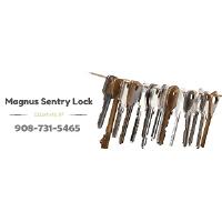 Magnus Sentry Lock image 1